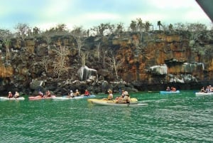 Kayaking on Academy Bay