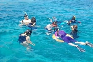 Vida selvagem e snorkel em Kicker Rock (Leon Dormido)