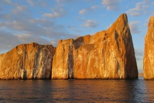 Puerto Baquerizo Moreno : Excursion en bateau à la découverte de la faune et de la flore de Kicker Rock