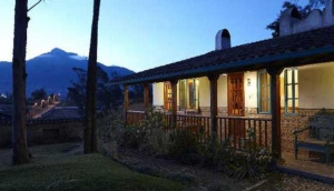 Las Palmeras Inn