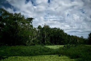 Limoncocha 1-dagars ekotur: fågelskådning och kanotpaddling i Amazonas