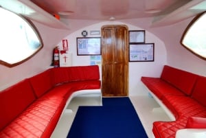 Tour di un giorno delle Isole Lobos e della spiaggia di Ochoa da San Cristobal