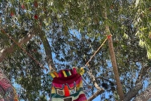 Mitad del Mundo: Ciencia, Mitos y Ruinas Ocultas