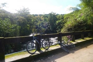 Mindo: Bike Rental