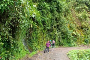Tour in bicicletta a Mindo da Quito: visita il Chocó andino