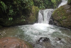 Mindo: 'Birds, Chocolate/Coffee and waterfalls'