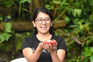 Mindo: 'Birds, Chocolate/Coffee and waterfalls'