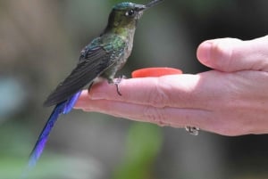 Mindo: 'Birds, Chocolate/Coffee and waterfalls'