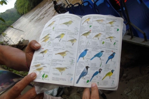 Excursión al Bosque Nuboso de Mindo y Circuito de Observación de Aves