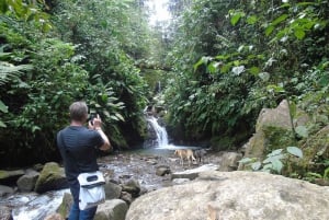 From Quito to Mindo: Cloud forest and waterfalls in 1 day.