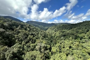 Tour della foresta nuvolosa e del circuito ornitologico di Mindo
