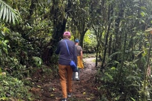 Circuito de observação de pássaros e floresta nublada de Mindo