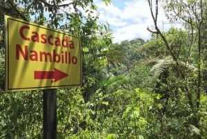 Excursão de um dia à Floresta Nublada de Mindo