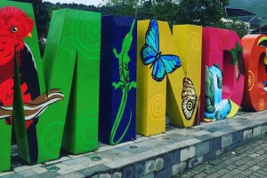 Tour di un giorno nella foresta pluviale di Mindo