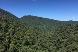 Tour di un giorno nella foresta pluviale di Mindo