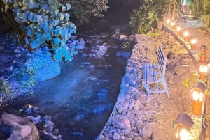 Mindo: Sensory massage in nature, experience the cloud forest