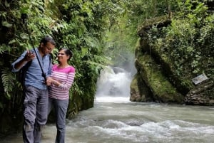 Från Quito: Mindo Cloud Forest dagsutflykt med transfer