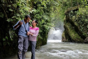 From Quito: Mindo Cloud Forest Day Trip with Transfer