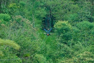 Mindo Cloud Forest Tour from Quito: 1 full day of Adventure
