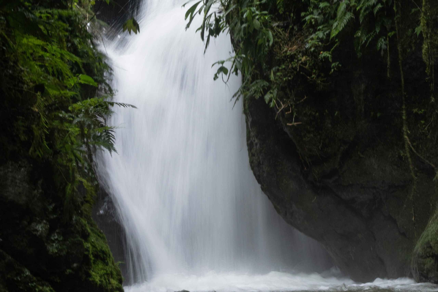 Mindo Full Day: Cloud Forest and Waterfalls