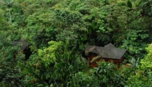 Mindo Garden