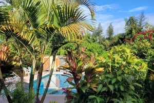 Mindo: Sensory massage in nature, experience the cloud forest