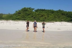 Tortuga Bay, Grietas (The Cracks) & Alemanes Beach Full-Day