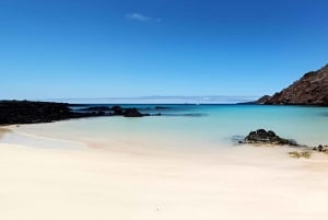 MOSQUERA TAUCHEN - GALAPAGOS TAUCHEN SCHÄTZE