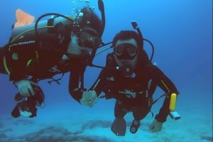 الغوص في موسكويرا - كنوز الغوص في غالاباغوس