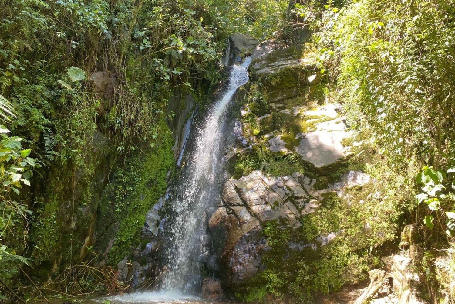 Near Papallacta: hiking in a private nature reserve + lunch