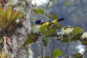 Near Papallacta: hiking in a private nature reserve + lunch