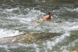 Near Papallacta: hiking in a private nature reserve + lunch