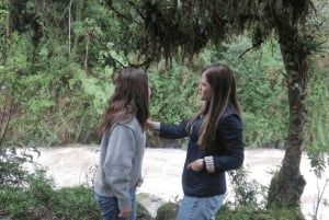 Near Papallacta: hiking in a private nature reserve + lunch