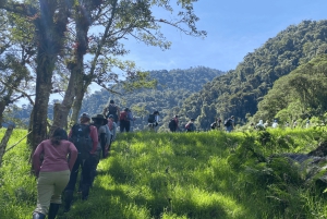 Near Papallacta: hiking in a private nature reserve + lunch