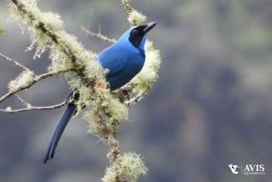 Cerca a Papallacta: senderismo en reserva natural privada + almuerzo