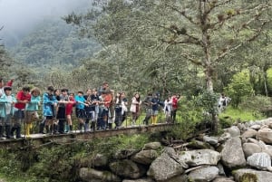 Cerca a Papallacta: senderismo en reserva natural privada + almuerzo