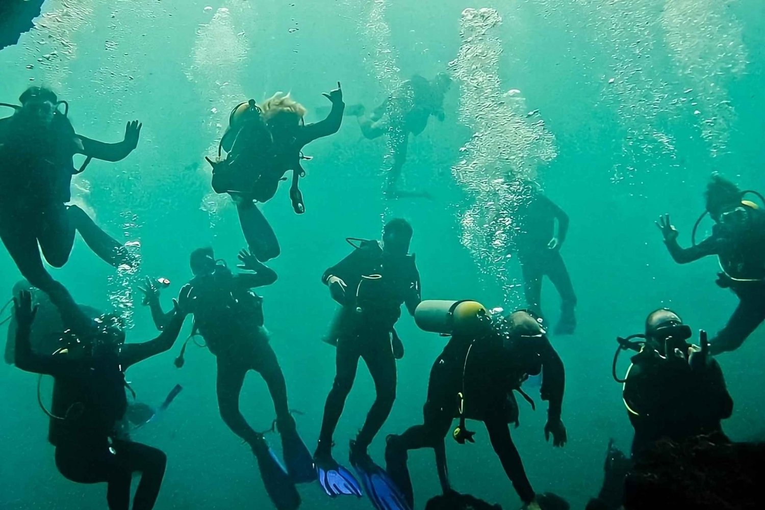 North Seymour (Channel) Dive Tour with Enchanted Islands