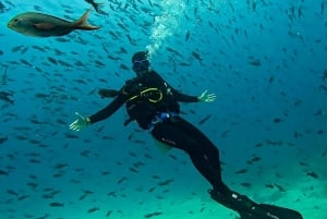 North Seymour (Channel) Dive Tour with Enchanted Islands