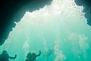 North Seymour (Channel) Dive Tour with Enchanted Islands