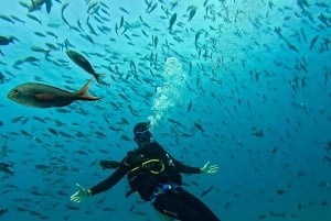 North Seymour (Channel) Dive Tour with Enchanted Islands