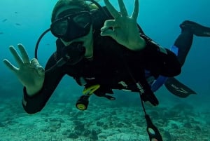 North Seymour (Channel) Dive Tour with Enchanted Islands