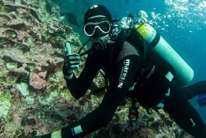 North Seymour (Channel) Dive Tour with Enchanted Islands