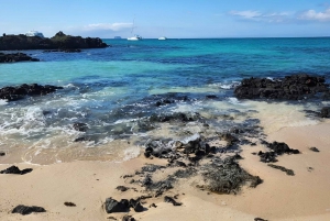 ISLA SEYMOUR NORTE- LA MEJOR EXPERIENCIA DE AVISTAMIENTO DE AVES Y SNORKEL