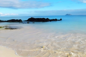 WYSPA NORTH SEYMOUR - NAJLEPSZE WRAŻENIA Z OBSERWACJI PTAKÓW I SNORKELINGU