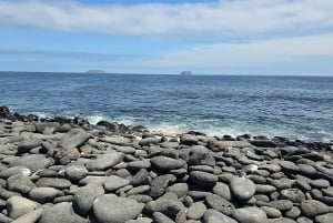 North Seymour Island: Full-Day Tour in Galapagos