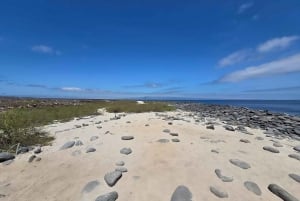 North Seymour Island: Full-Day Tour in Galapagos