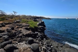 North Seymour Island: Full-Day Tour in Galapagos