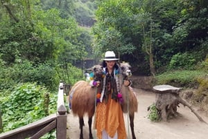 Otavalo Market Day Tour: Inkludert lunsj og billetter