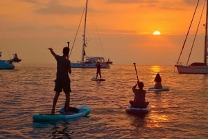Avventura in paddleboard con i leoni marini sull'isola di San Cristobal