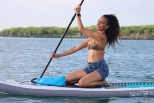 Avventura in paddleboard con i leoni marini sull'isola di San Cristobal